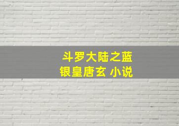 斗罗大陆之蓝银皇唐玄 小说